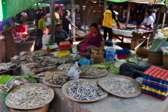 Fish markets