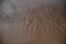 Ocean sand tracks