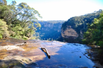 Top of Wentworth falls