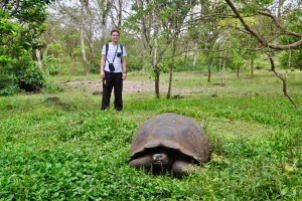 Giant tortoise with dave to scale